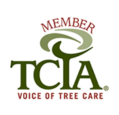 Tree Care Professionals